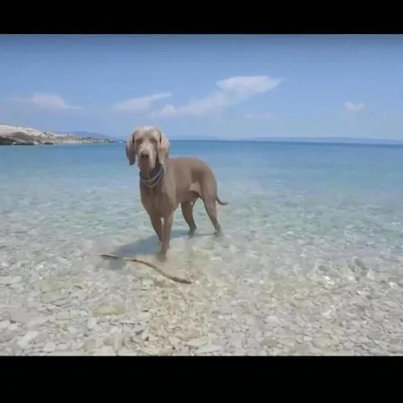 In With Sea View Tatil Evi Crikvenica