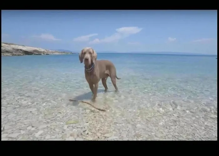 In With Sea View Holiday home Crikvenica